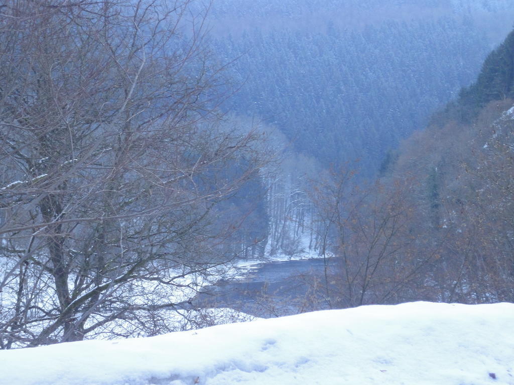 Gite Des Evets La Roche-en-Ardenne Exterior photo